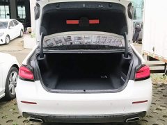 BMW 5 Series Facelift 530Li Premier Luxury Package - ფოტო 14