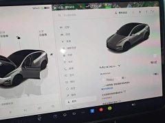 Tesla Model Y Rear-Wheel Drive - ფოტო 11