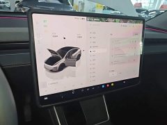 Tesla Model Y Rear-Wheel Drive - ფოტო 12