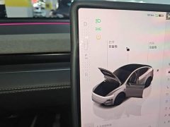 Tesla Model Y Rear-Wheel Drive - ფოტო 13