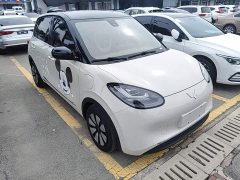 Wuling Binguo 333km Lingxi Connected Plus - ფოტო 3