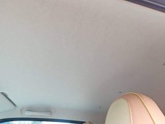 FAW Besturn Xiaoma 222km Lightning Edition - ფოტო 17