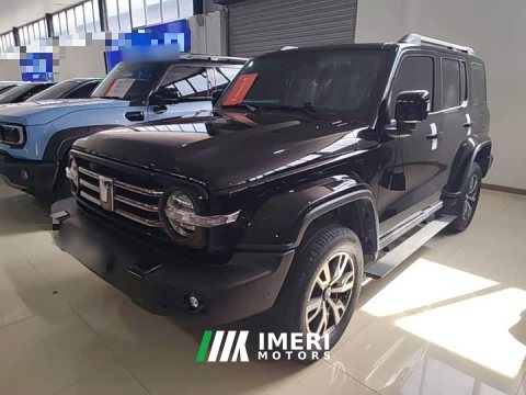 2023 Tank 300 2.0T Explorer - ავტომობილი ჩინეთიდან