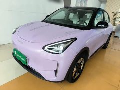 Geely Star Wish 410km Explorer Edition - ფოტო 1