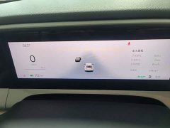 Geely Star Wish 410km Explorer Edition - ფოტო 11