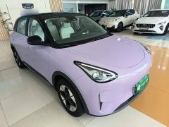 Geely Star Wish 410km Explorer Edition - ფოტო 3