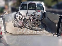 Great Wall 5 2.0T Diesel 2WD Elite Crew Cab National VI GW4D20M - photo 9
