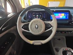 ORA Good Cat 400km Standard Range Venus Edition Ternary Lithium Battery - ფოტო 10