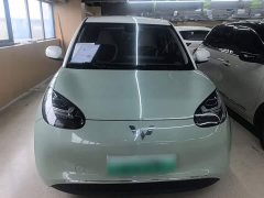 Wuling Binguo 333km Joy Edition - ფოტო 2