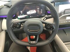 Lynk & Co 08 EM-P 210 AWD Performance Ultra H7 - ფოტო 10
