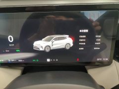 Lynk & Co 08 EM-P 210 AWD Performance Ultra H7 - ფოტო 11