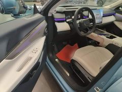 Lynk & Co 08 EM-P 210 AWD Performance Ultra H7 - ფოტო 15