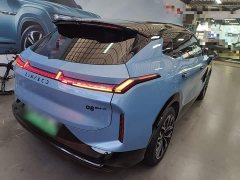 Lynk & Co 08 EM-P 210 AWD Performance Ultra H7 - ფოტო 6
