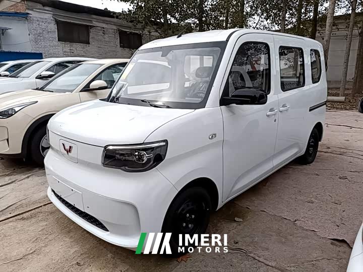 Wuling Zhiguang New Energy 201km Standard - ავტომობილი ჩინეთიდან