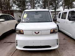 Wuling Zhiguang New Energy 201km Standard - ფოტო 2