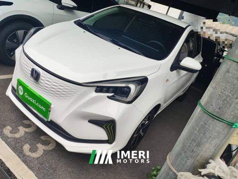 2021 Changan Benben E-Star Heartbeat Edition Ternary Lithium - ავტომობილი ჩინეთიდან