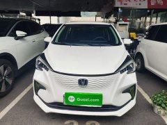 Changan Benben E-Star Heartbeat Edition Ternary Lithium - ფოტო 2