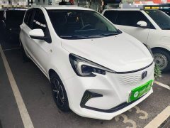 Changan Benben E-Star Heartbeat Edition Ternary Lithium - ფოტო 3