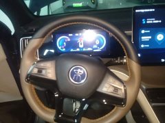 BYD Song Pro New Energy DM-i 110km Flagship Pro - ფოტო 10