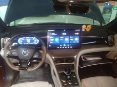 BYD Song Pro New Energy DM-i 110km Flagship Pro - ფოტო 9