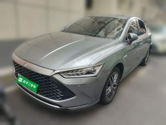 BYD Qin Plus DM-i 120KM Luxury - ფოტო 1