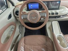 Wuling Binguo 333km Joy Edition - ფოტო 10