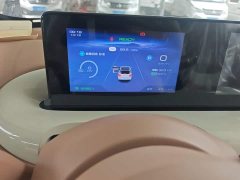 Wuling Binguo 333km Joy Edition - ფოტო 11