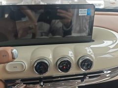 Wuling Binguo 333km Joy Edition - ფოტო 12