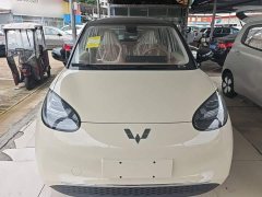 Wuling Binguo 333km Joy Edition - ფოტო 2