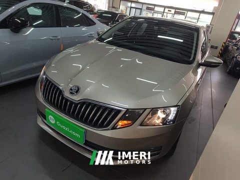 2021 Skoda Octavia 1.5L Automatic Zhixing Luxury Edition - ავტომობილი ჩინეთიდან