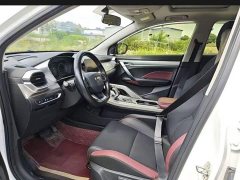 Geely Bingyue 1.4T DCT Diamond Edition - ფოტო 4