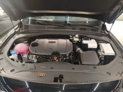 Geely Xingrui Dongfang Yao 1.5TD Fuyao Edition - ფოტო 19