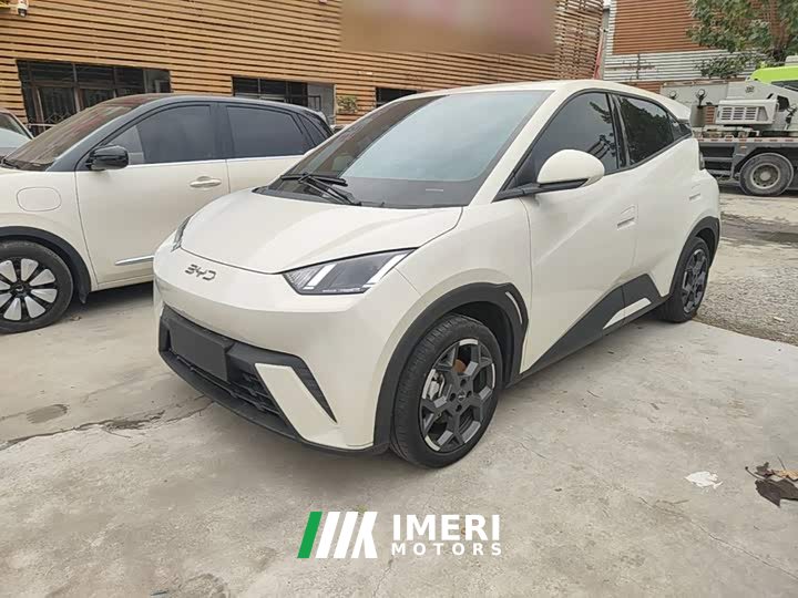 BYD Seagull 305km Freedom Edition - ავტომობილი ჩინეთიდან