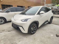 BYD Seagull 305km Freedom Edition - ფოტო 1