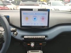BYD Seagull 305km Freedom Edition - ფოტო 12
