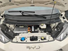 BYD Seagull 305km Freedom Edition - ფოტო 19