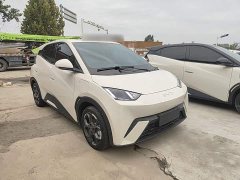 BYD Seagull 305km Freedom Edition - ფოტო 3