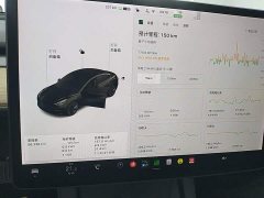 Tesla Model 3 Facelift Standard Range RWD Upgrade 3D1 - ფოტო 11