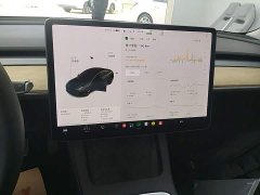 Tesla Model 3 Facelift Standard Range RWD Upgrade 3D1 - ფოტო 12