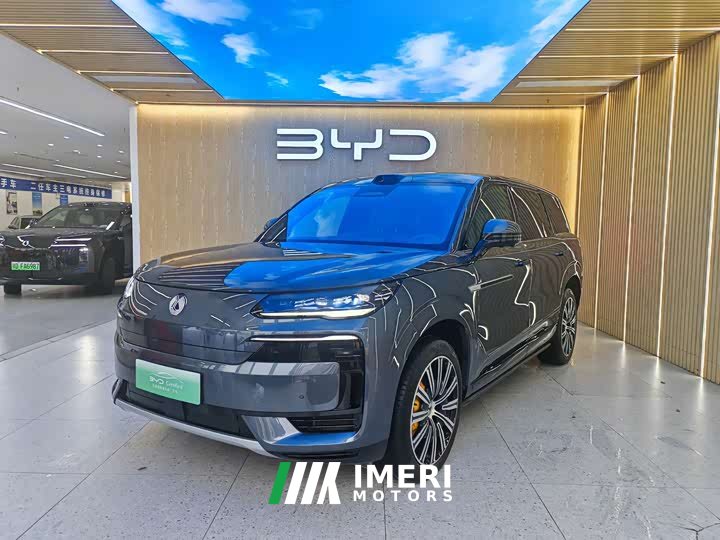 Denza N9 Flagship