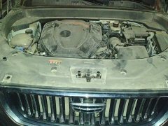 Geely Xingyue L 2.0T High-Power Automatic FWD Flagship - ფოტო 16
