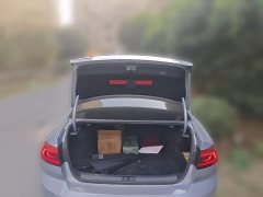 Volkswagen Magotan 330TSI DSG Advance - ფოტო 15