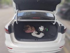 Geely Emgrand 4th Generation Champion Edition 1.5L CVT Luxury - ფოტო 20