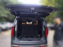 Great Wall WEY Shanshan New Energy Four-Wheel Drive Shanshan 8 - ფოტო 15
