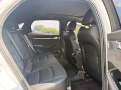 Geely Xingrui 2.0T Diesel Xiaohan Edition - ფოტო 16