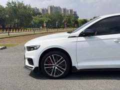 Geely Xingrui 2.0T Diesel Xiaohan Edition - ფოტო 9