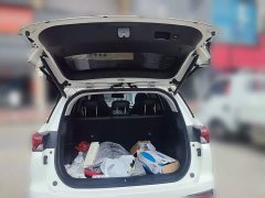 GAC Aion GS4 270T Automatic Smart Navigation Edition - photo 15