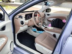 Wuling Binguo 333km Joy Edition - ფოტო 12