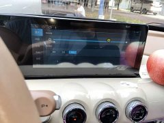 Wuling Binguo 333km Joy Edition - ფოტო 20