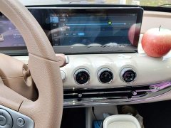 Wuling Binguo 333km Joy Edition - ფოტო 9
